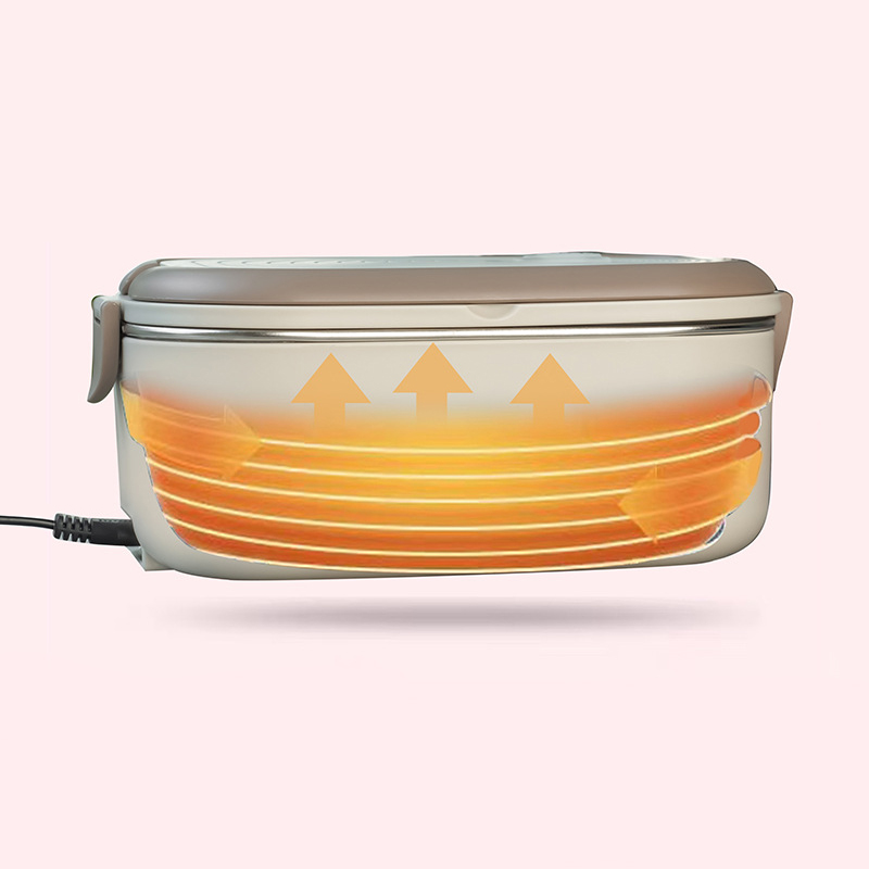 Kotak makan siang listrik 220V - Baby Food Warmer ulasan dan harga